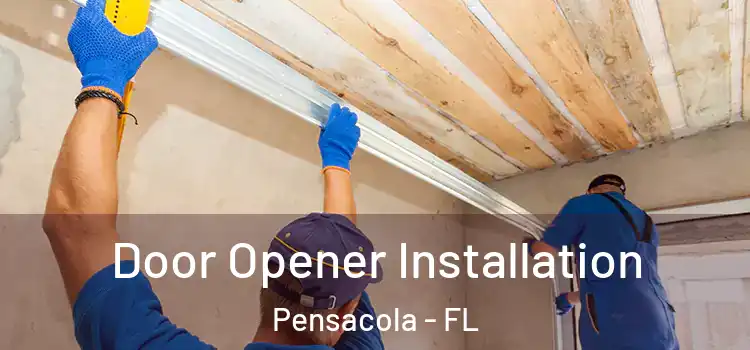  Door Opener Installation Pensacola - FL