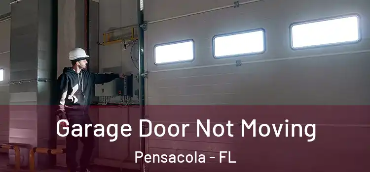  Garage Door Not Moving Pensacola - FL