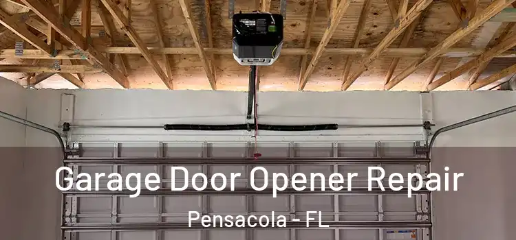  Garage Door Opener Repair Pensacola - FL